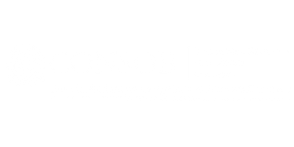 Logo Consob
